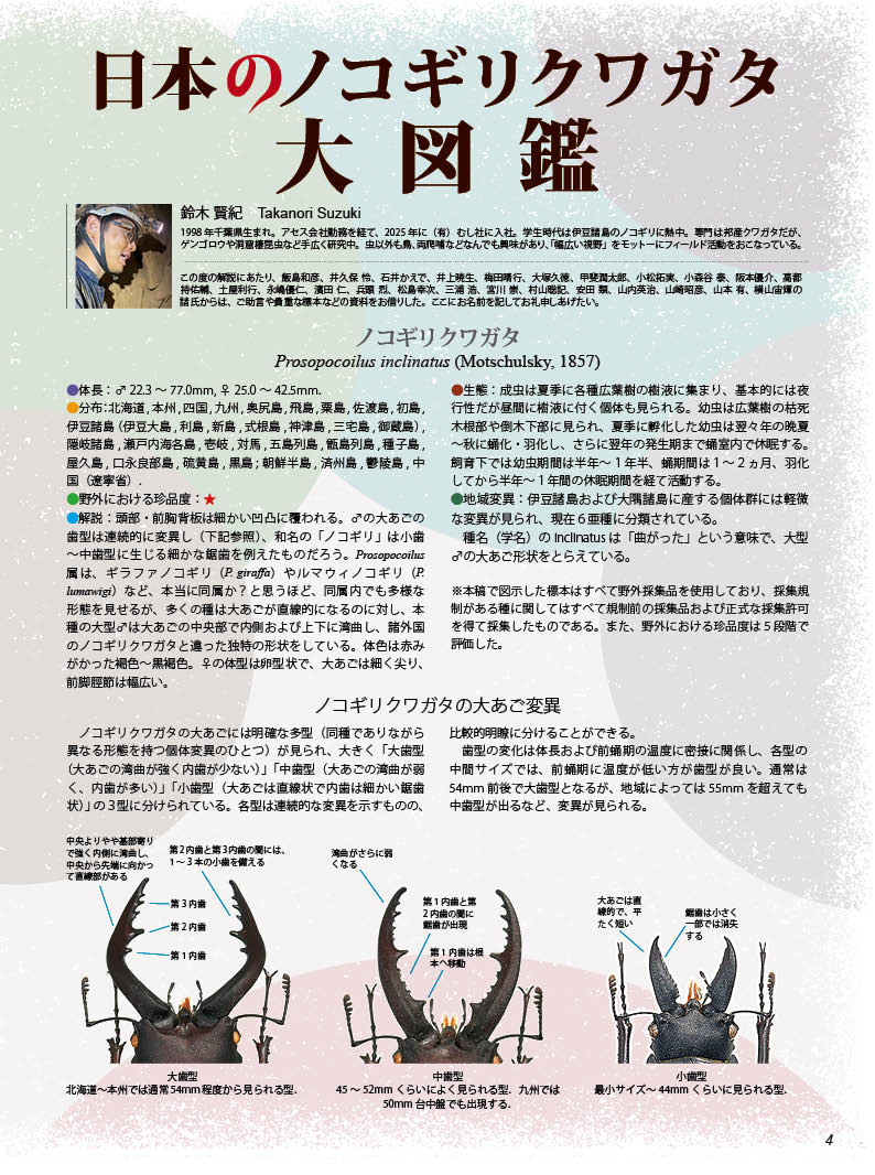 BE-KUWA NO.99