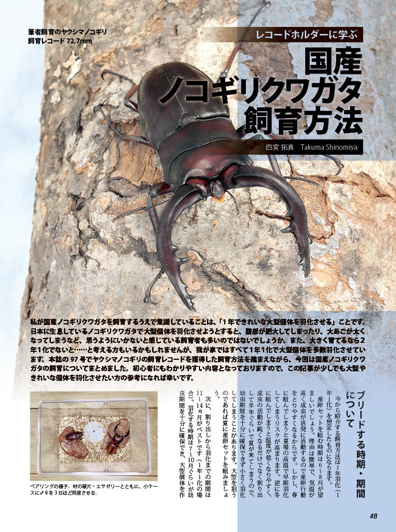 BE-KUWA NO.99