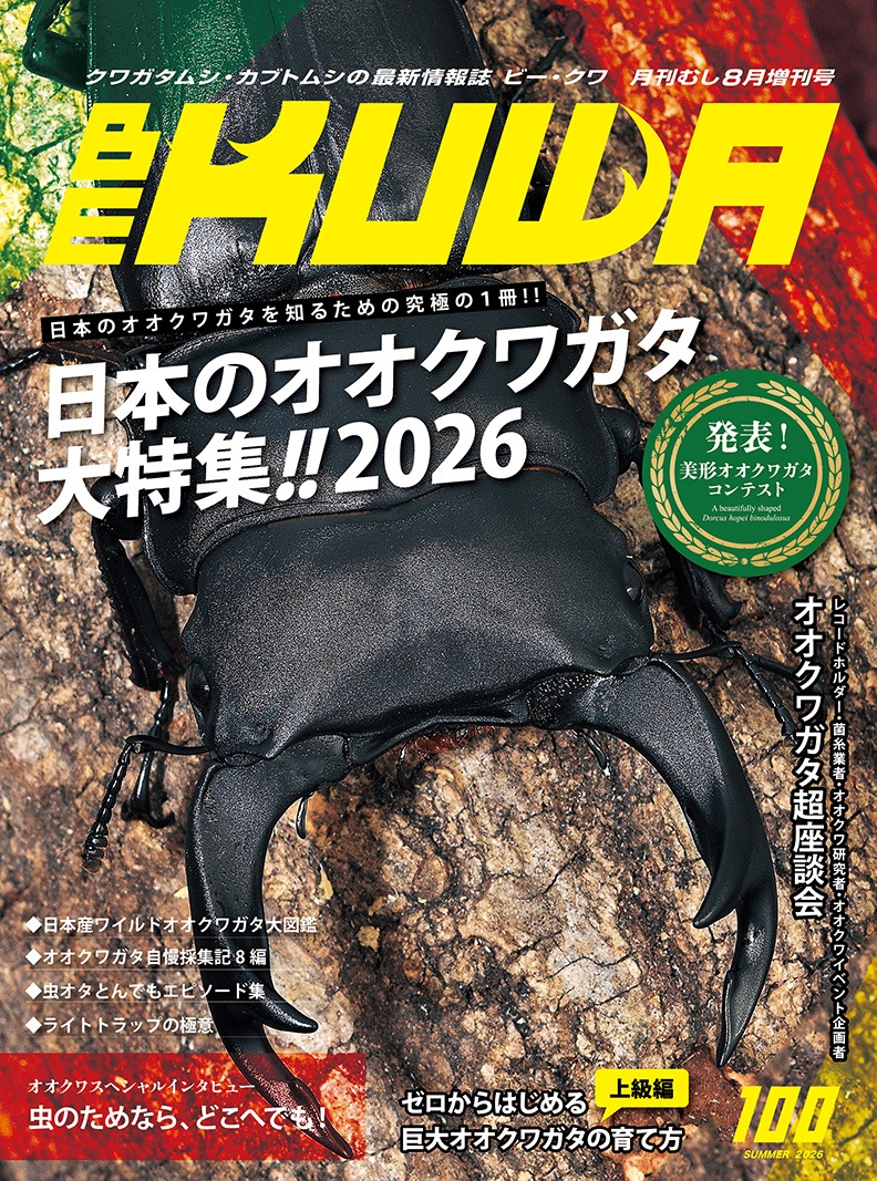 BE-KUWA NO.100