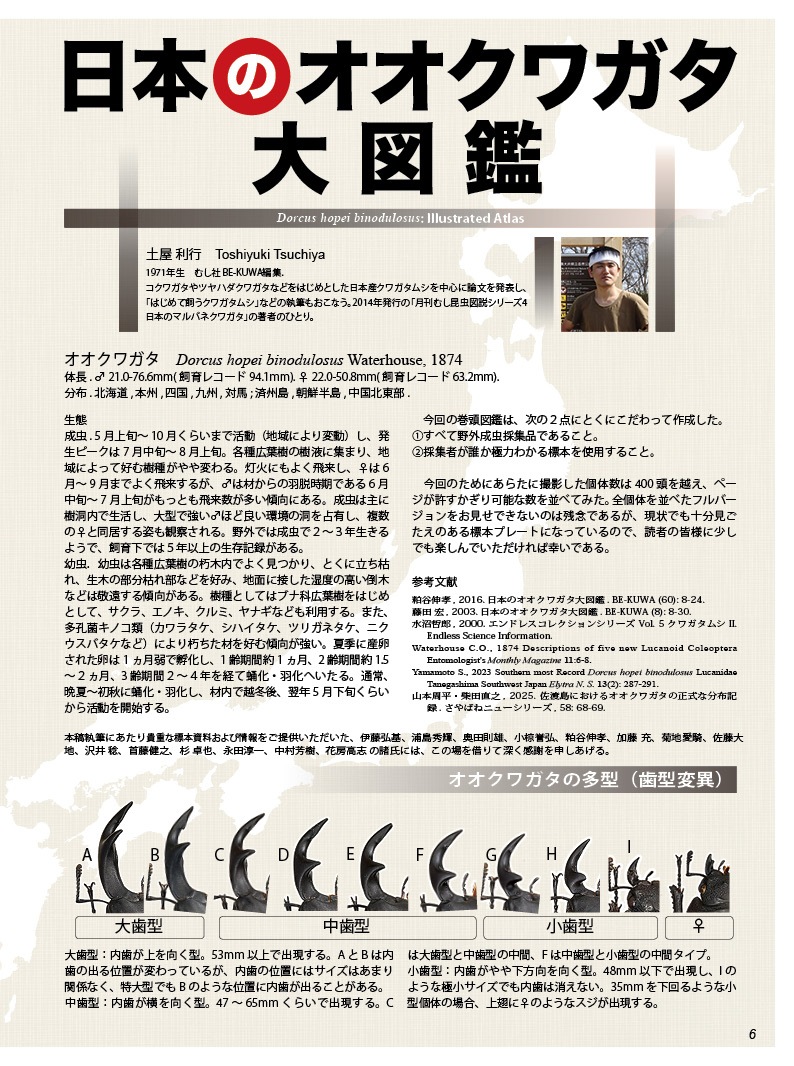 BE-KUWA NO.100