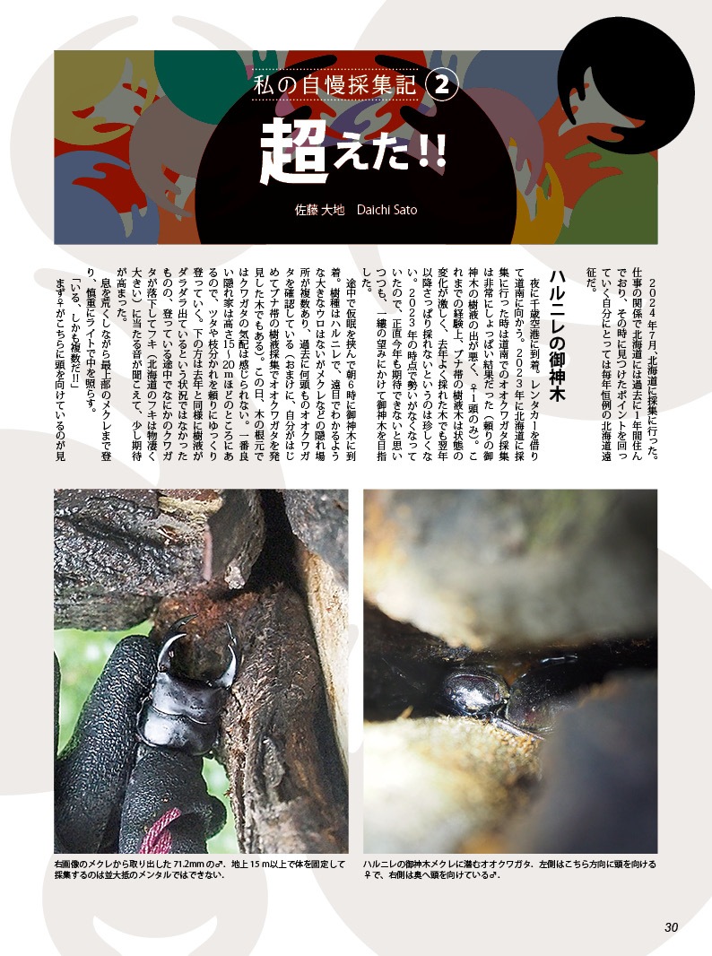 BE-KUWA NO.100