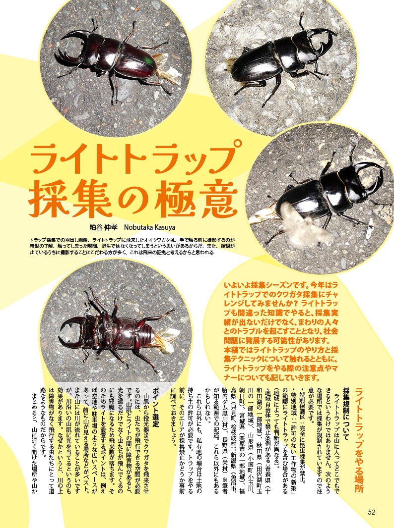 BE-KUWA NO.100