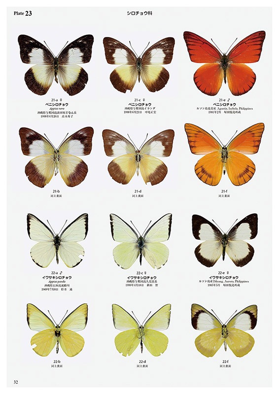 ��ष��������޴ե��꡼��8 ���ܤ���ĳ��޴�