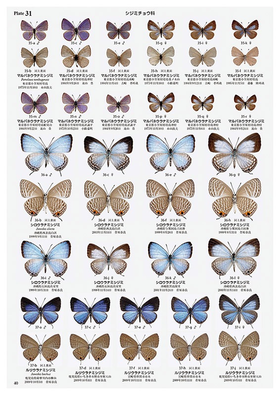 ��ष��������޴ե��꡼��8 ���ܤ���ĳ��޴�