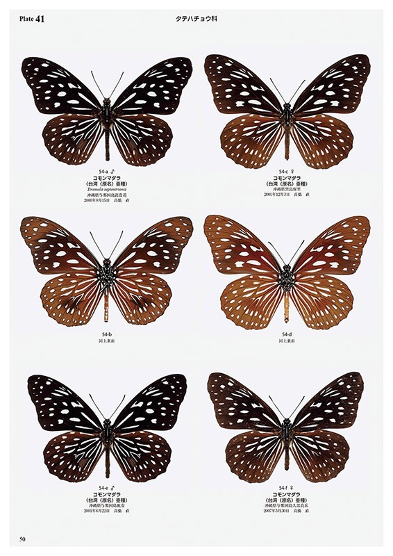 ��ष��������޴ե��꡼��8 ���ܤ���ĳ��޴�