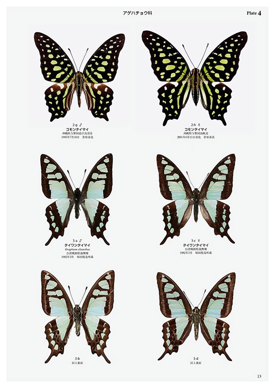 ��ष��������޴ե��꡼��8 ���ܤ���ĳ��޴�