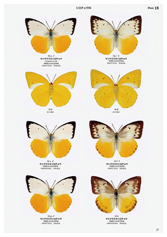 ��ष��������޴ե��꡼��8 ���ܤ���ĳ��޴�