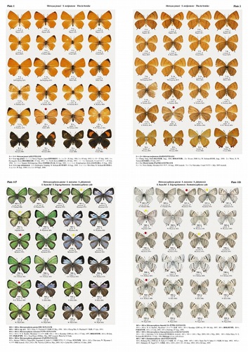 ������ڤ�۷�ष��������޴ե��꡼��5 �����Υ��ե��륹��޴� �ں���ͽ��ʤ���