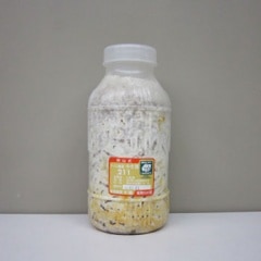 �ʥᥳ ���޶�