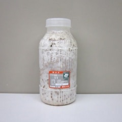 �ҥ饿�� ���޶�