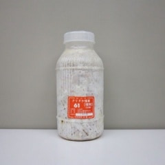 ���ꤿ�� ���޶�