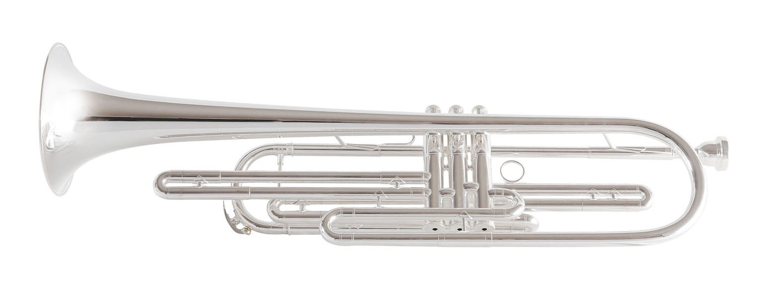 Behning&Sons ピストン バストランペット