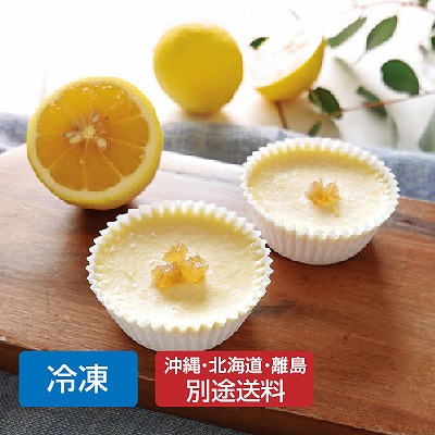 (seed)オーガニックレモンピールのアイスチーズケーキ9個【ギフト_のし短冊可】【送料無料】