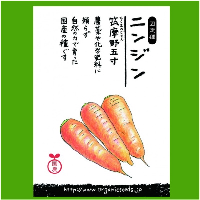 NLS)国産ニンジン(筑摩野五寸)約400粒 | 安心の無添加、オーガニック