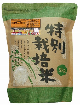 R7年度産 特別栽培米・新篠津あやひめ　白米2kg(送料込)【店舗取扱】