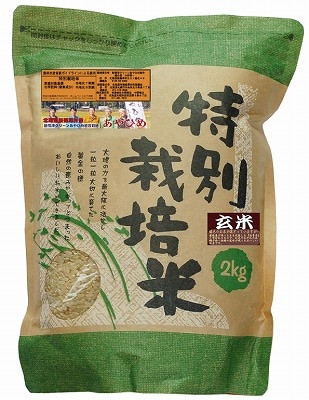 R7年度産 特別栽培米・新篠津あやひめ　玄米2kg(送料込)【店舗取扱】