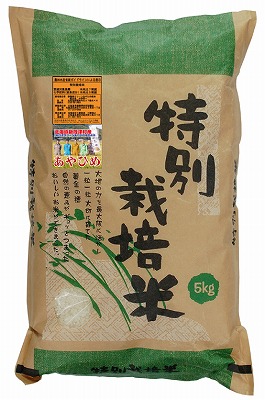 R7年度産 特別栽培米・新篠津あやひめ　白米5kg(送料込)【店舗取扱】
