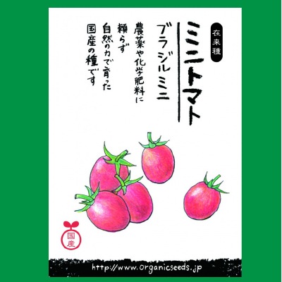 (NLS)国産ミニトマト(ブラジルミニ)約30粒