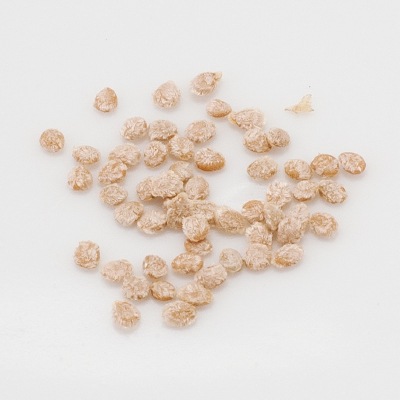 (NLS)国産ミニトマト(ブラジルミニ)約30粒