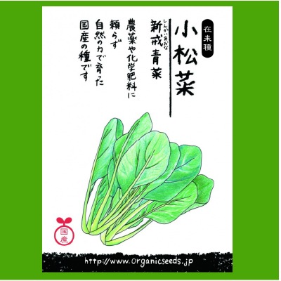 (NLS)国産小松菜(新戒青菜)約500粒