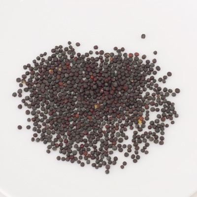 (NLS)国産小松菜(新戒青菜)約500粒