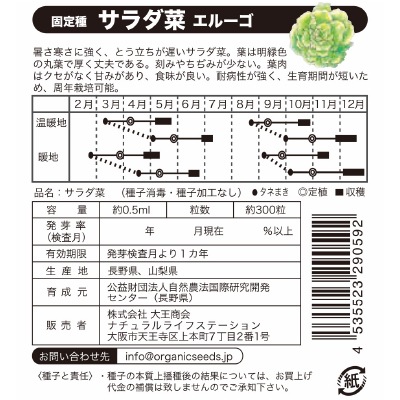(NLS)国産サラダ菜(エルーゴ)約300粒
