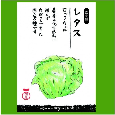 (NLS)国産レタス(ロックウェル)約120粒