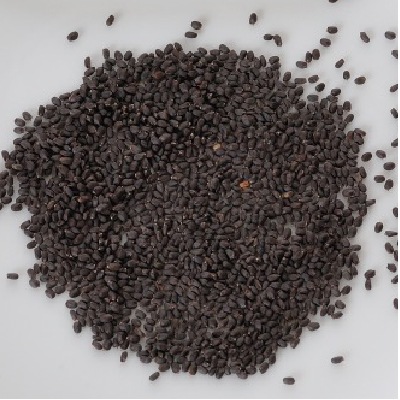 (NLS)ジェネシスシード有機種子スィートバジル約280粒