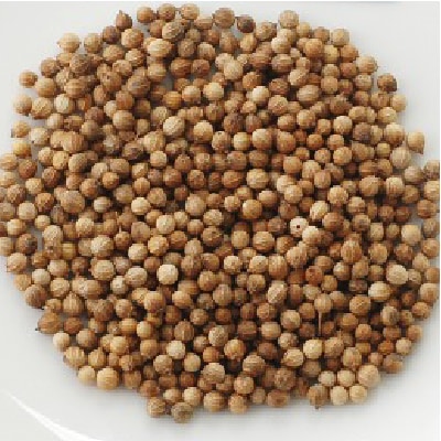 (NLS)ジェネシスシード有機種子コリアンダー(スプリットタイプ)(パクチー)約120粒