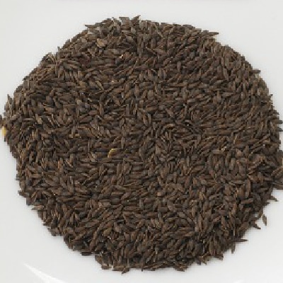 (NLS)ジェネシスシード有機種子オークリーフレタス約330粒