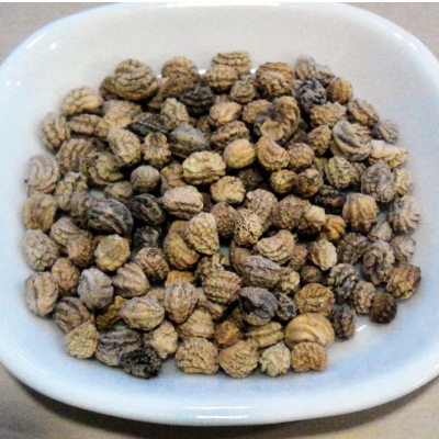 (NLS)ジェネシスシード有機種子ナスタチウム約8粒