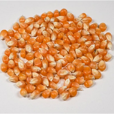 (アリサン)有機ポップコーン250g【店舗取扱】