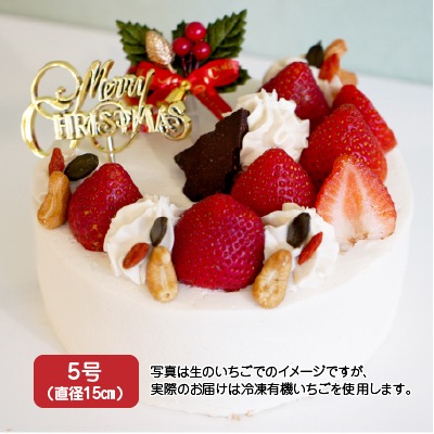 【ご予約は12月15日まで】米粉のクリスマスケーキ：冷凍発送｜ホワイトデコレーション 5号(ナナハコ)《数量限定》お届けは12/20(土)～25(木)