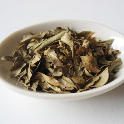 (グリーンノート)ヘナハーバルカラー･オレンジブラウン100g