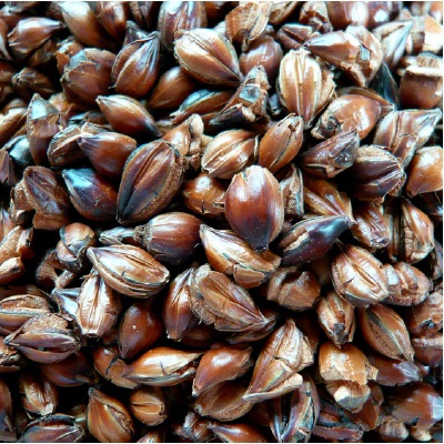 (ムソー)有機・麦茶<丸粒>300g