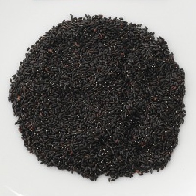 (NLS)ジェネシスシード有機種子レモンバーム約330粒