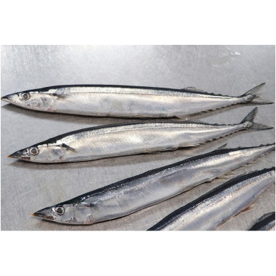 【7月31日までポイントアップ】(千葉産直)とろさんま水煮150g