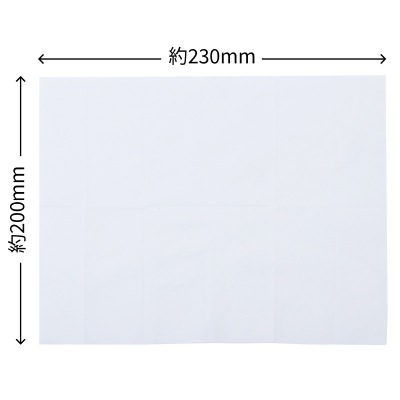 (G-Place)ﾅﾁｭﾗﾑｰﾝオーガニックコットンアロマボディシート・アイスミント12枚