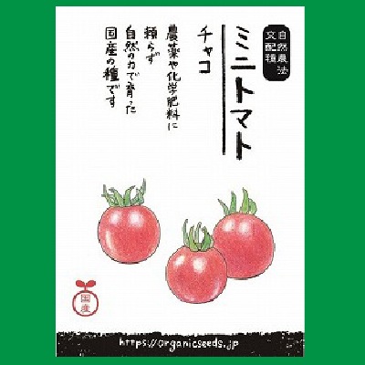 (NLS)国産ミニトマト(交配種)(チャコ)約10粒