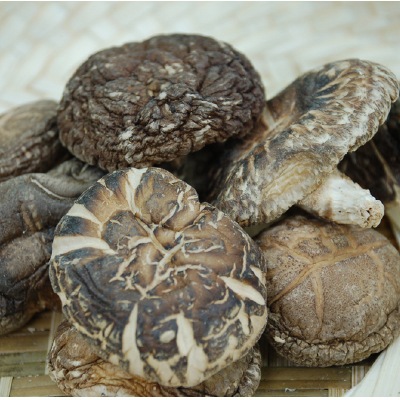 (ムソー)大分産椎茸大粒どんこ45g