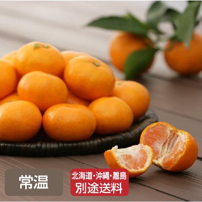 (古果園)有機・有田みかん 約3kg　【ギフト_のしシール可】