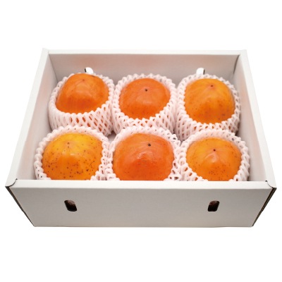 (mebki farm)山梨県産 甲州百目柿「眠りひめ」約2kg(5～6玉)【ギフト_ のしシール可】