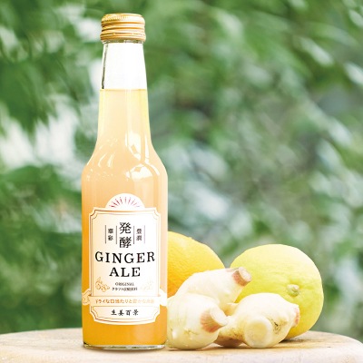 【4月30日までタイムセール】(後藤製菓)発酵ジンジャーエールORIGINAL250ml