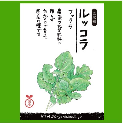 (NLS)国産ルッコラ(フックラ)約400粒
