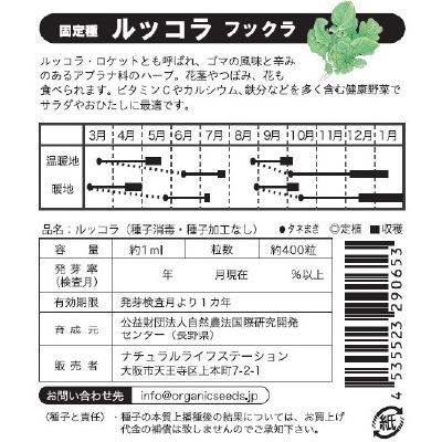 (NLS)国産ルッコラ(フックラ)約400粒