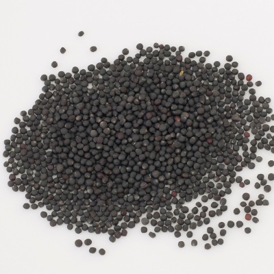 (NLS)国産川島かき菜約500粒