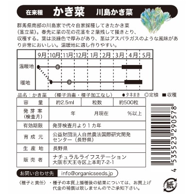 (NLS)国産川島かき菜約500粒