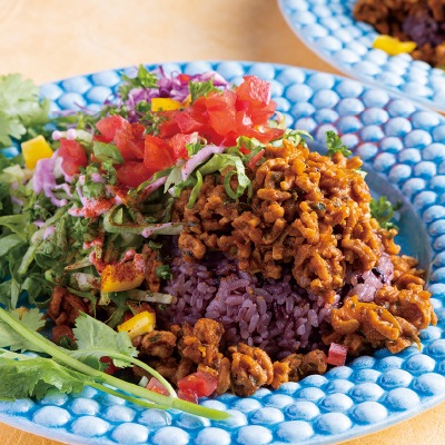 (プレマ)PlantMate(有機植物性ミート)ミンチ125g