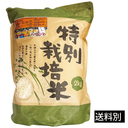 R7年度産 特別栽培米・新篠津あやひめ 白米2kg【店舗取扱】