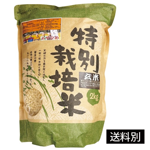 R7年度産 特別栽培米・新篠津あやひめ　玄米2kg【店舗取扱】